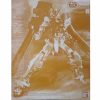 Gunpla Rise of Gunpla Gundam Seed Astray | Mg 1/100 Gundam Astray Gold Frame Sp Coating